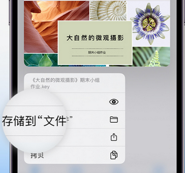 颍州apple维修中心分享iPhone文件应用中存储和找到下载文件