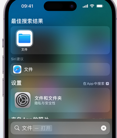 颍州apple维修中心分享iPhone文件应用中存储和找到下载文件 