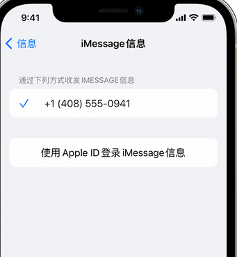 颍州apple维修iPhone上无法正常发送iMessage信息 