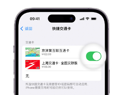 颍州apple维修点分享iPhone上更换Apple Pay快捷交通卡手绘卡面 