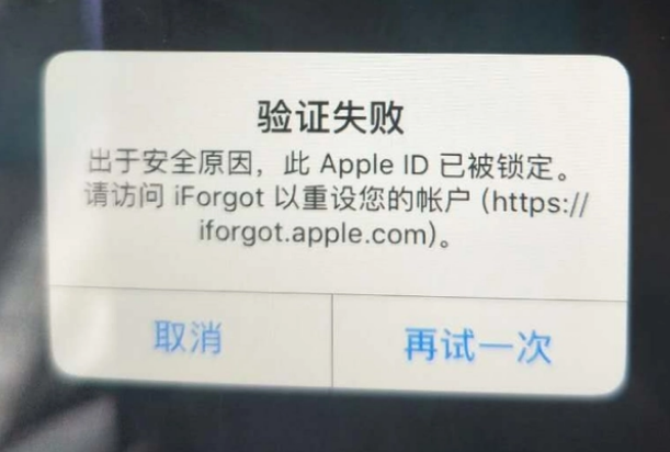 颍州iPhone维修分享iPhone上正常登录或使用AppleID怎么办 