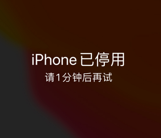 颍州苹果手机维修分享:iPhone 显示“不可用”或“已停用”怎么办？还能保留数据吗？ 