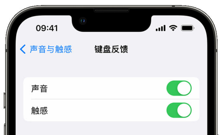 颍州苹果手机维修分享iPhone 14触感键盘使用方法 