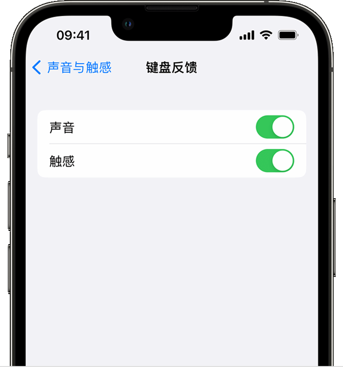 颍州苹果14维修店分享如何在 iPhone 14 机型中使用触感键盘 