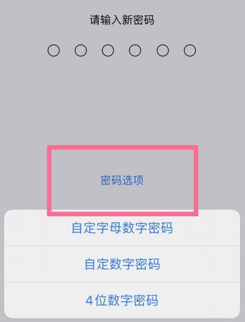 颍州苹果14维修分享iPhone 14plus设置密码的方法 