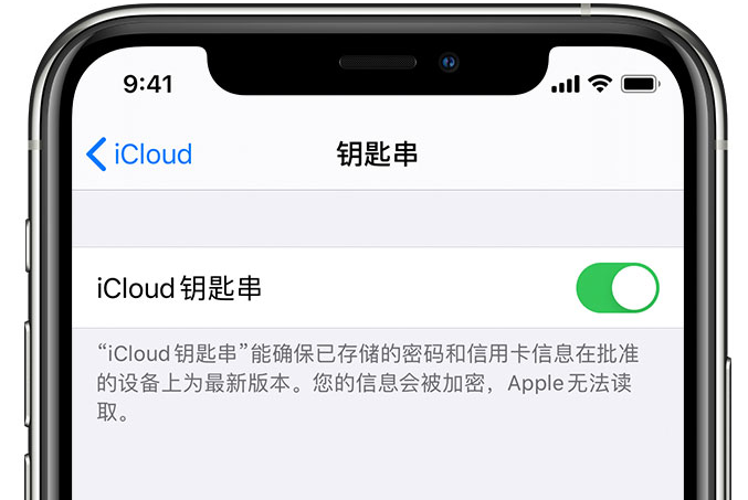 颍州苹果手机维修分享在 iPhone 上开启 iCloud 钥匙串之后会储存哪些信息 