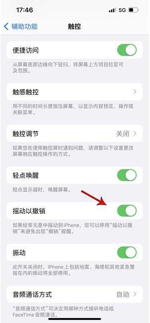 颍州苹果手机维修分享iPhone手机如何设置摇一摇删除文字 